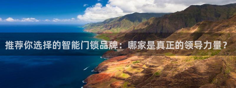 金年会网页版登陆：推荐你选择的智能门锁品牌：哪家是真正的领导