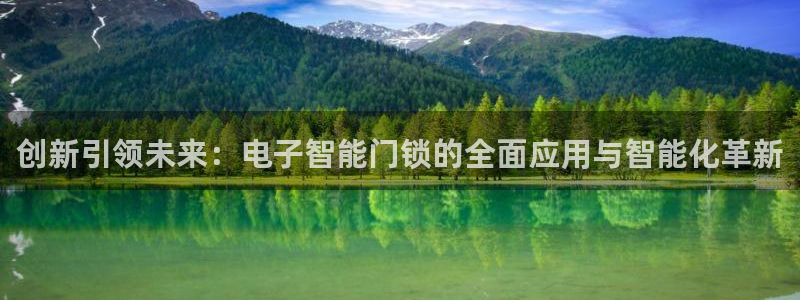 金年会APP安装下载：创新引领未来：电子智能门锁的全面应用与