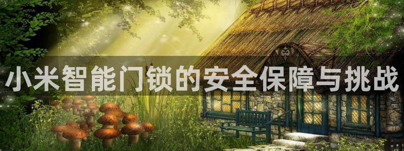 金年会手机登录：小米智能门锁的安全保障与挑战