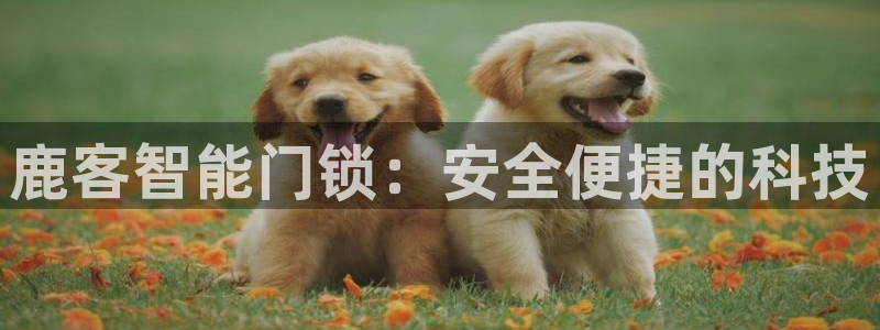 金升年会：鹿客智能门锁：安全便捷的科技