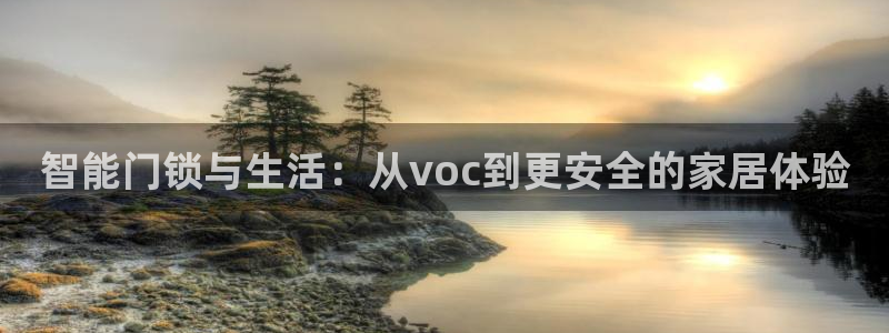 金年会活动策划：智能门锁与生活：从voc到更安全的家居体验