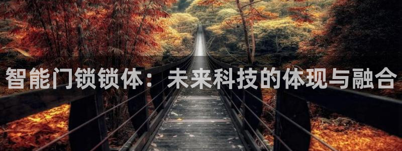 金年会APP下载：智能门锁锁体：未来科技的体现与融合