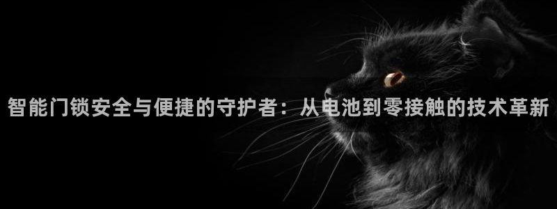 金年会官网登入：智能门锁安全与便捷的守护者：从电池到零接触的