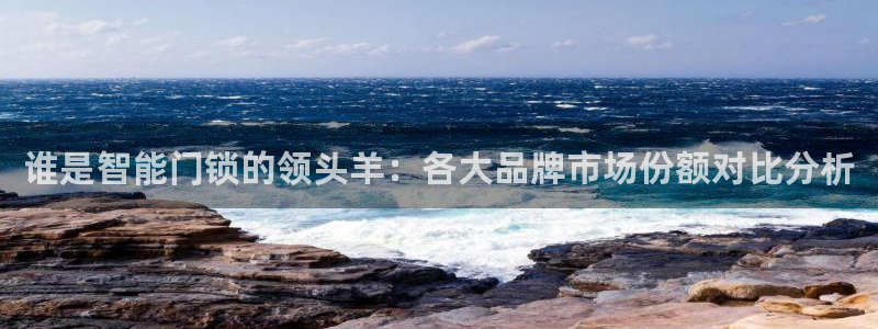 金年会软件之家下载：谁是智能门锁的领头羊：各大品牌市场份额对