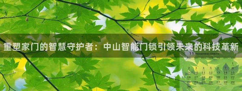 金年会app：重塑家门的智慧守护者：中山智能门锁引领未来的科