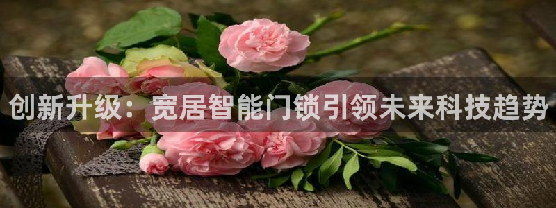 金年会金年华：创新升级：宽居智能门锁引领未来科技趋势