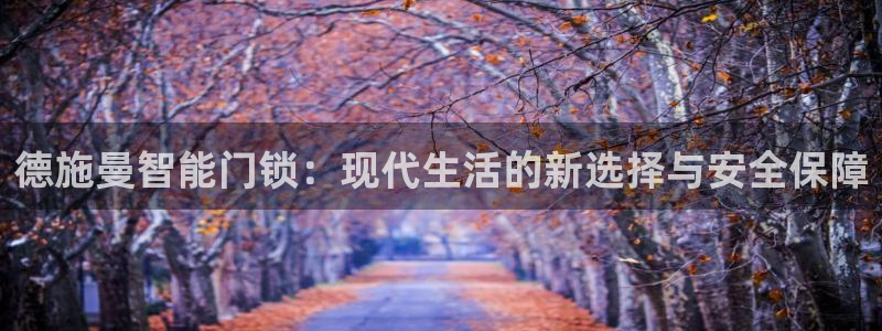 今年会金年会：德施曼智能门锁：现代生活的新选择与安全保障
