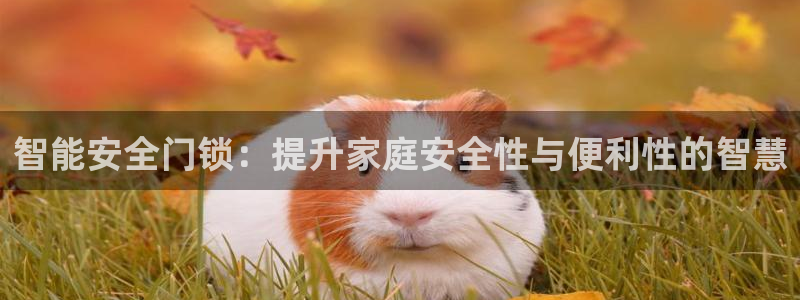 金年会金年会：智能安全门锁：提升家庭安全性与便利性的智慧