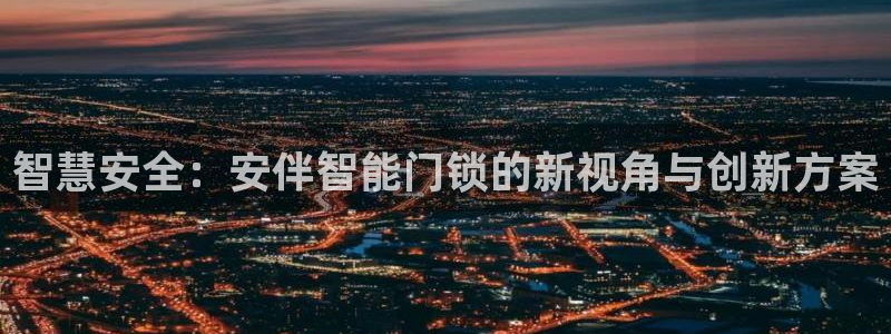 金年会是啥：智慧安全：安伴智能门锁的新视角与创新方案