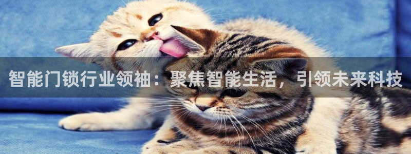 澳门娱乐金年会：智能门锁行业领袖：聚焦智能生活，引领未来科技