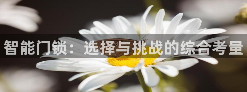 金年会金字招牌至上：智能门锁：选择与挑战的综合考量
