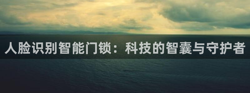 澳门娱乐金年会：人脸识别智能门锁：科技的智囊与守护者