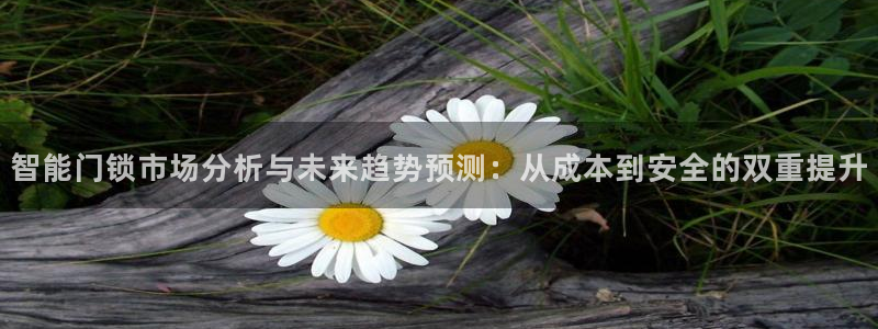 金年会是真的吗：智能门锁市场分析与未来趋势预测：从成本到安全