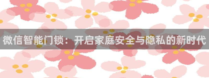 金汉江年会：微信智能门锁：开启家庭安全与隐私的新时代