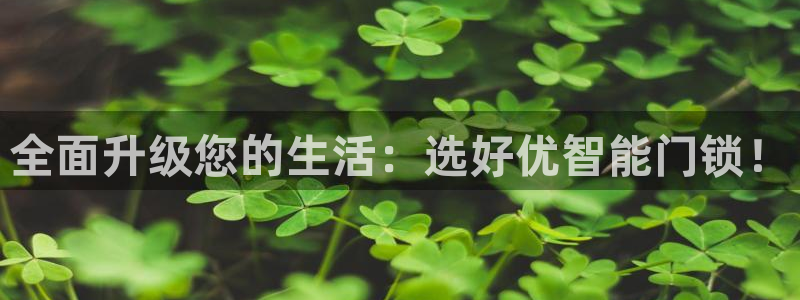 金年会 中国 金年会：全面升级您的生活：选好优智能门锁！