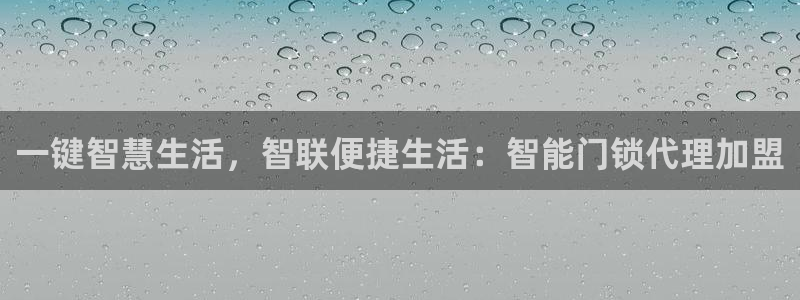 金诚集团年会：一键智慧生活，智联便捷生活：智能门锁代理加盟