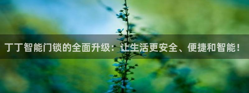 金年会注册：丁丁智能门锁的全面升级：让生活更安全、便捷和智能
