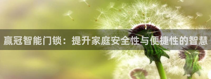 金年会平台是什么：赢冠智能门锁：提升家庭安全性与便捷性的智慧