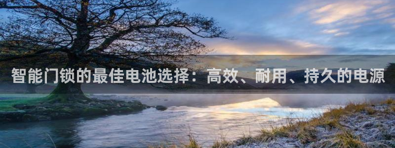 金年会电子：智能门锁的最佳电池选择：高效、耐用、持久的电源