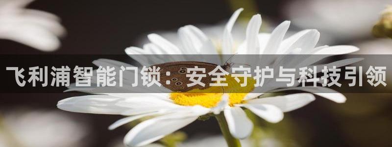 金年会手机app：飞利浦智能门锁：安全守护与科技引领