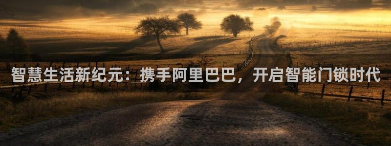 金年会官网app下载：智慧生活新纪元：携手阿里巴巴，开启智能