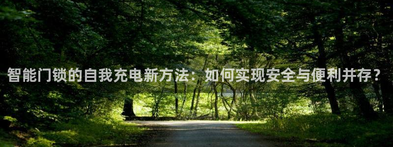 金年会黑平台：智能门锁的自我充电新方法：如何实现安全与便利并