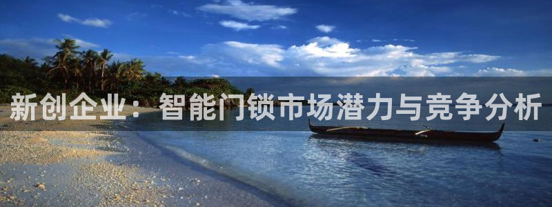2022金年会：新创企业：智能门锁市场潜力与竞争分析
