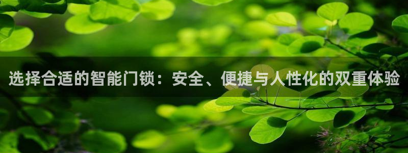金年会体育app下载：选择合适的智能门锁：安全、便捷与人性化