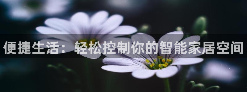 年会金句心得：便捷生活：轻松控制你的智能家居空间