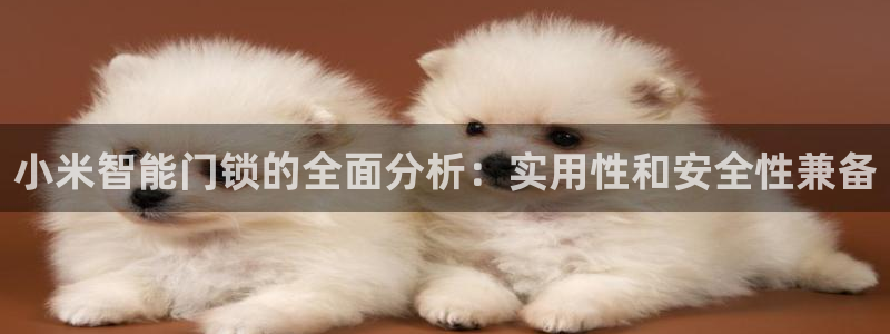 金年会手机官网：小米智能门锁的全面分析：实用性和安全性兼备