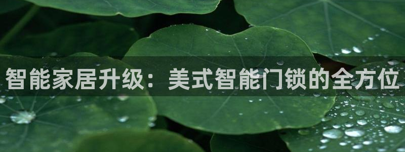 金年会最新登录网站：智能家居升级：美式智能门锁的全方位