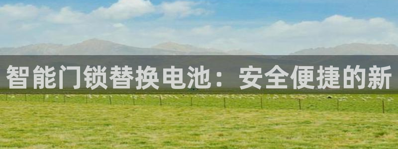 金年会在线：智能门锁替换电池：安全便捷的新