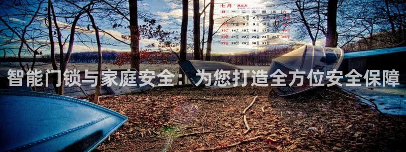 金年会登陆：智能门锁与家庭安全：为您打造全方位安全保障