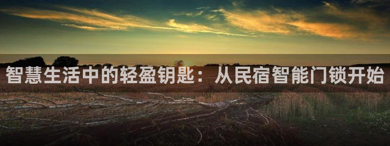 金年会APP黑钱：智慧生活中的轻盈钥匙：从民宿智能门锁开始