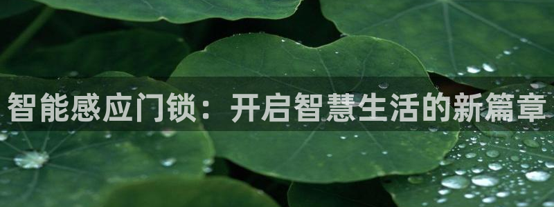 年会金句心得：智能感应门锁：开启智慧生活的新篇章