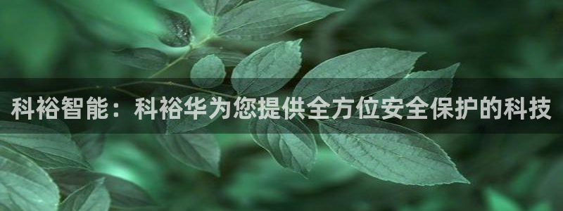 金年会体育和金年会：科裕智能：科裕华为您提供全方位安全保护的