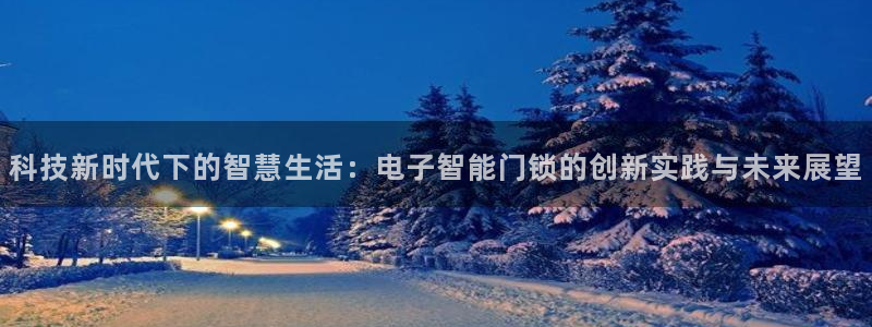 金年会原名：科技新时代下的智慧生活：电子智能门锁的创新实践与
