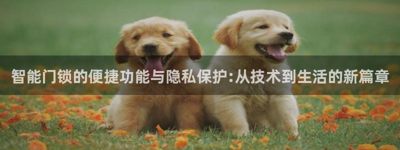 金年会网页：智能门锁的便捷功能与隐私保护:从技术到生活的新篇