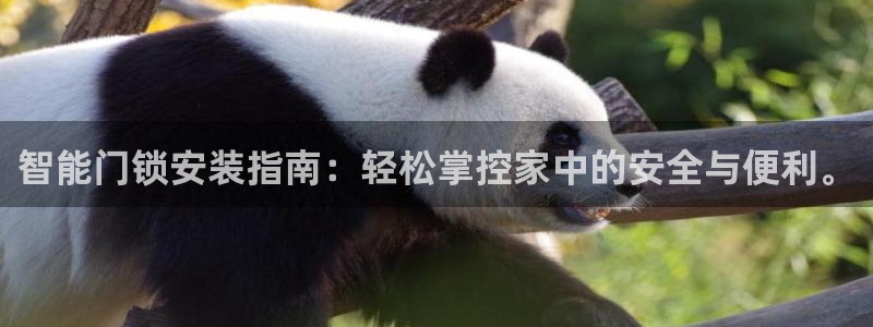 金年会体育平台官网：智能门锁安装指南：轻松掌控家中的安全与便