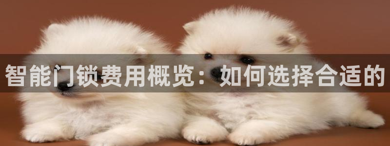 金年会官方入口：智能门锁费用概览：如何选择合适的