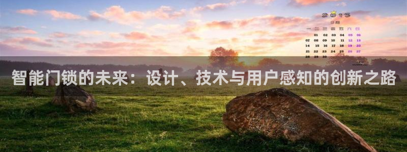 金辉城年会视频：智能门锁的未来：设计、技术与用户感知的创新之