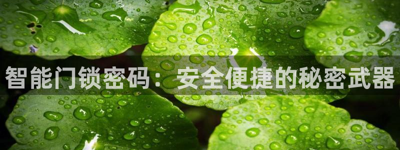 金年会体育官方下载：智能门锁密码：安全便捷的秘密武器