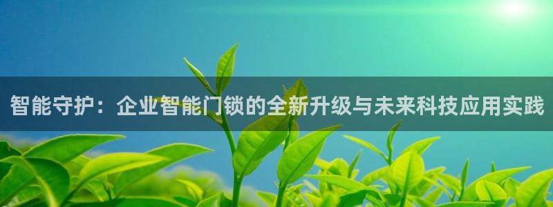 融通金年会：智能守护：企业智能门锁的全新升级与未来科技应用实
