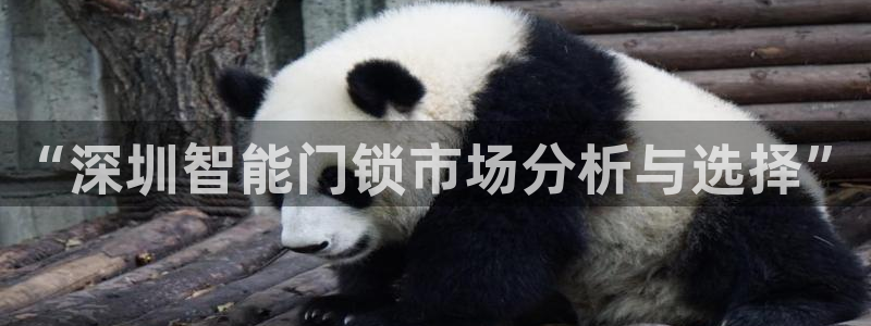 金年会APP安装下载：“深圳智能门锁市场分析与选择”