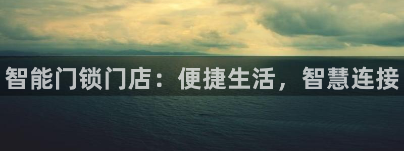 金年会101：智能门锁门店：便捷生活，智慧连接