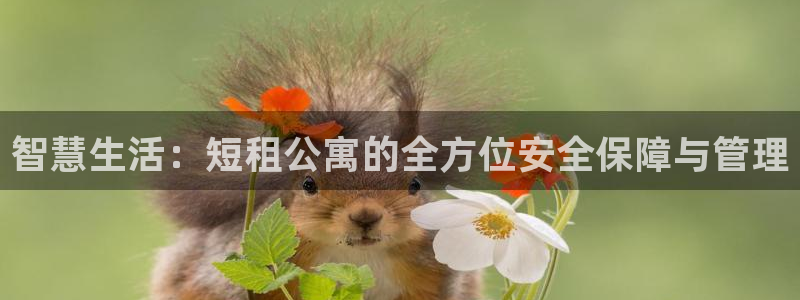 金年会官方网：智慧生活：短租公寓的全方位安全保障与管理