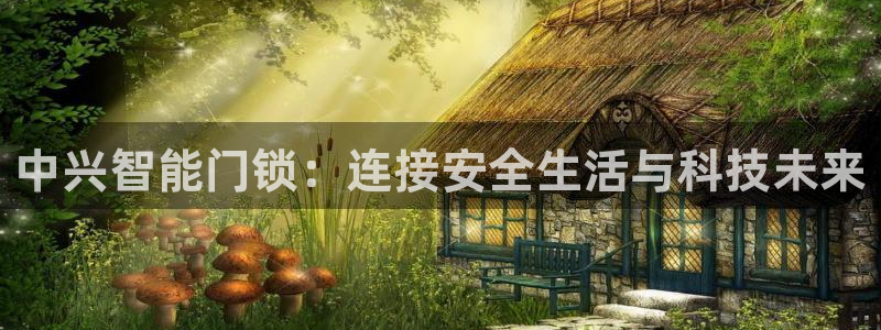 金年会提款：中兴智能门锁：连接安全生活与科技未来