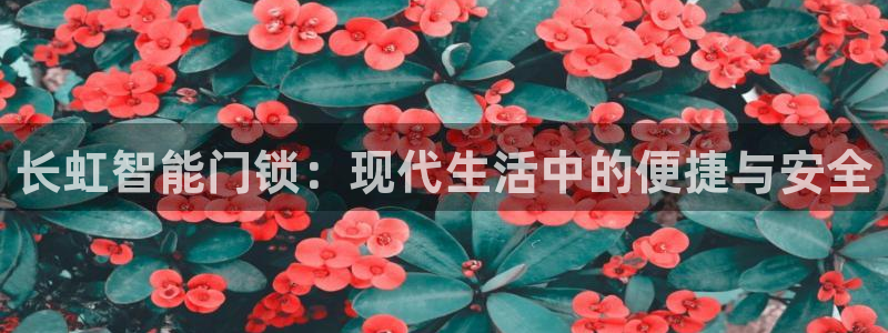 金年会活动策划：长虹智能门锁：现代生活中的便捷与安全