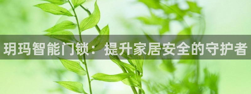 金年会下载官方：玥玛智能门锁：提升家居安全的守护者