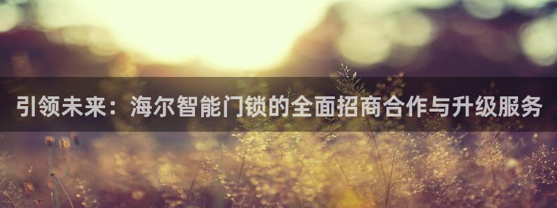 金年会金字招牌诚信至上：引领未来：海尔智能门锁的全面招商合作